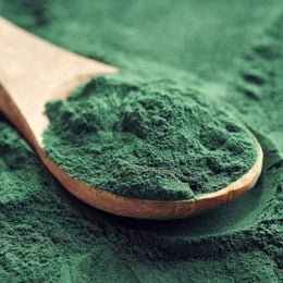 Spirulina