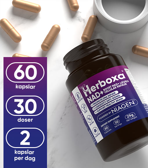 Herboxa NAD+ - 60 kapsul